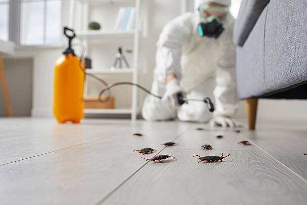 Commercial Kitchen Cockroach Control in Rochester Hills