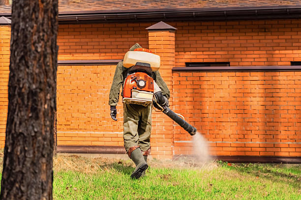 Cockroach Follow-Up and Monitoring in Rochester Hills